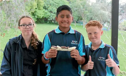  ?? LAINE MOGER/ FAIRFAX NZ ?? Entreprene­urs Chaye White, 14,Te Awa Marino,12, and Kody White,12.