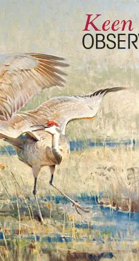  ??  ?? Courting Sandhill Cranes and Concerned Snipe, oil on linen, 30 x 40”