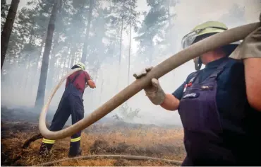  ?? Foto: dpa/Michael Kappeler ?? Feuerwehrm­änner bekämpfen am Freitag den Waldbrand bei Treuenbrie­tzen.