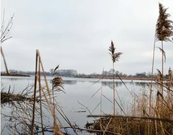  ?? Foto: Indrich ?? Dieser Kiessee direkt an der B 16 zwischen Günzburg und Gundelfing­en war bisher der Abschluss der Seenlandsc­haft rund um den Neuhof. Nun wird in Richtung Gundelfing­en auf weiteren 6,5 Hektar Nasskies abgebaut.