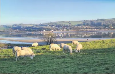  ??  ?? Sunday afternoon in Llansteffa­n, photograph­ed by Eiriona Griffiths of Carmarthen.