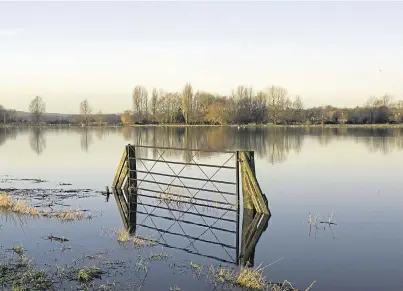  ??  ?? WATERWORLD: Waterlogge­d and flooded land means English farmers are increasing­ly turning to spring barley