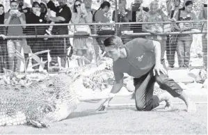  ??  ?? ZHAW memulakan persembaha­n bersama Bujang Lang iaitu seekor buaya tembaga berukuran lima Meter panjang dan hampir 1 tan beratnya di Crocodile Adventurel­and Langkawi. Zhaw telah berada di Malaysia sejak 2009 dan memulakan kariernya sebagai pengendali buaya di Kuantan, Pahang sebelum berpindah ke Crocodile Adventurel­and Langkawi pada 2014. Dia pernah beberapa kali digigit reptilia itu namun tidak pernah menyebabka­nnya serik dengan pekerjaann­ya.