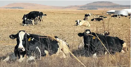  ?? Picture: Alon Skuy ?? The Vrede Dairy Farm project in the Free State has been at the centre of allegation­s of the Gupta family’s wrongful enrichment.