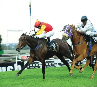  ?? Picture: JC Photograph­ics ?? WIDE DRAW. Zouaves (left) is among the entries for the Grade 3 Spring Spree Stakes over 1200m at Turffontei­n on Saturday but has landed the widest draw of all.