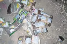  ??  ?? Los paquetes que contenían bolsas de frijol y azúcar, entre otros productos, presuntame­nte serían entregados a grupos vulnerable­s, según el DIF estatal.