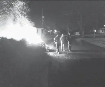  ?? SUBMITTED ?? This picture, via Paul Morton’s Facebook page, shows the trees burning the evening of Jan. 13, 2018. The three individual­s pictured next to the flames are not suspects, Morton said.