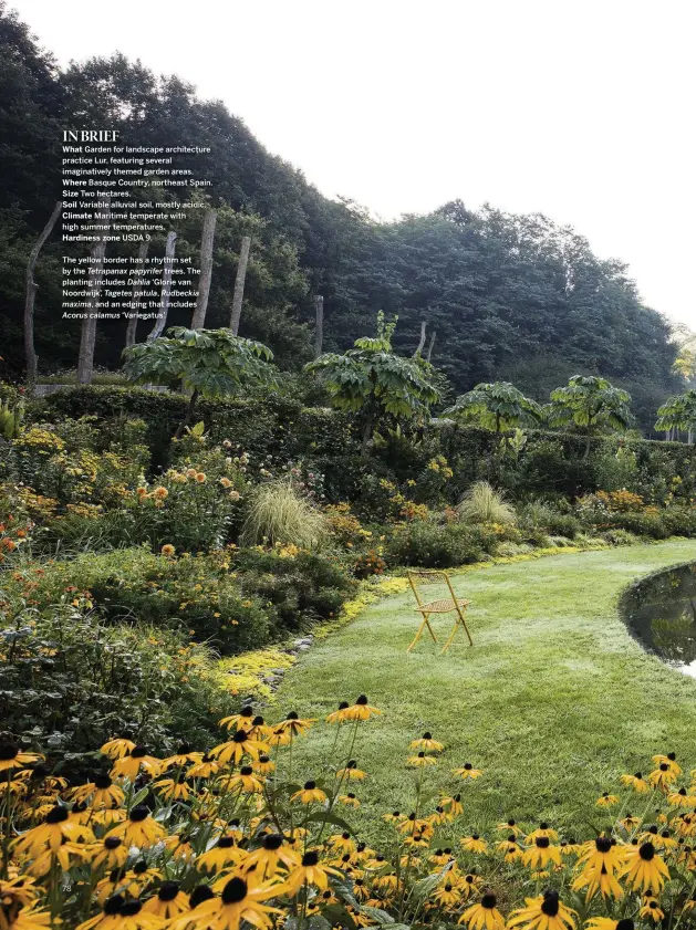  ??  ?? What
Where Size Soil Climate
Hardiness zone
The yellow border has a rhythm set by the Tetrapanax papyrifer trees. The planting includes Dahlia ‘Glorie van Noordwijk’, Tagetes patula, Rudbeckia and an edging that includes
‘Variegatus’.