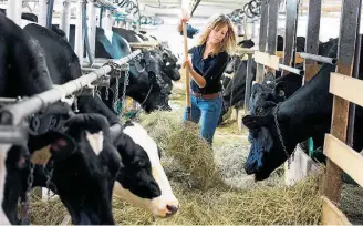  ?? CHRISTINNE MUSCHI/REUTERS ?? Lobby. Muitas fazendas leiteiras estão em Ontário, província importante nas eleições federais