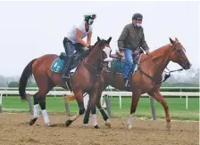 ?? AP PHOTO / SETH WENIG ?? Robin Smullen sits atop Belmont Stakes favorite Tiz the Law, left, as trainer Barclay Tagg, right, leads the colt around the track during a workout Friday at Belmont Park in Elmont, N.Y.