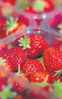  ??  ?? Discover the season’s first Scottish strawberri­es at Aldi