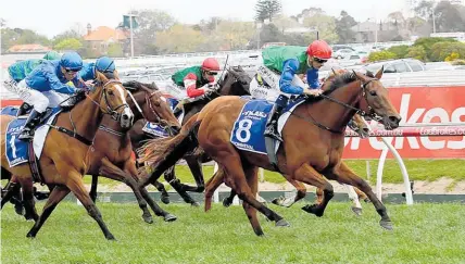  ?? Picture / Darryl Sherer ?? Bonneval will run in the group one Haunui Farm WFA Classic at Hawke’s Bay this Saturday.
