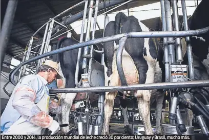  ?? LA VOZ DEL INTERIOR / ARCHIVO ?? Entre 2000 y 2014, la producción mundial de leche creció 30 por ciento; Uruguay y Brasil, mucho más.