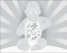  ?? PAUL ROGERS / THE NEW YORK TIMES ?? Research indicates that cesarean deliveries and limited breast-feeding can distort the population of microorgan­isms in a baby’s gut and may explain the unchecked rise of worrisome health problems in children and adults, including asthma, allergies, celiac disease, Type 1 diabetes and obesity.