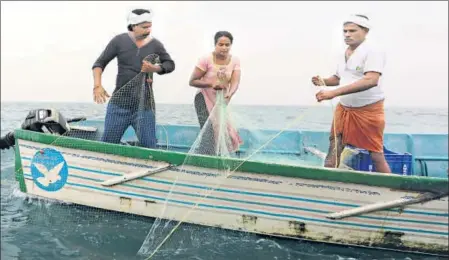  ?? VIVEK R NAIR/HT ?? ▪ KC Rekha loves her profession, despite the odds and uncertaint­y. She can sniff the presence of a shoal of fish, swim against the current and lay her net quickly.