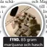  ?? FOTO: POLISEN ?? FYND. 85 gram marijuana och hasch hittade Magda i skogen.