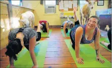  ?? Picture: REUTERS ?? ANIMAL ANTICS: Goats climb on participan­ts during a yoga class at Jenness Farm in New Hampshire