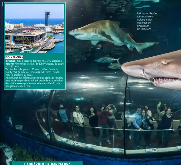  ??  ?? La foto del tiburón toro es el mejor trofeo para los visitantes de L'Aquàrium de Barcelona.