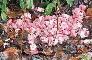  ?? ?? ●●Raw meat found dumped in Reddish