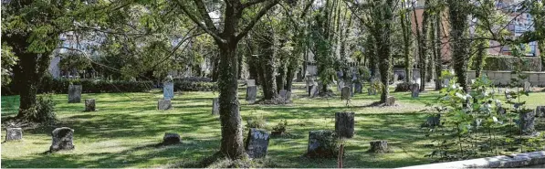  ?? Foto: Michael Hochgemuth ?? Im Jüdischen Friedhof an der Hooverstra­ße in Kriegshabe­r ist ein ausgewachs­enes Wäldchen entstanden. Das ist der Israelitis­chen Gemeinde ein Dorn im Auge, denn nach dem Ritus Halacha dürfen auf jüdischen Grab stätten keine Bäume stehen.