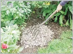  ?? (AP) ?? This undated photo shows mulch being applied to a flower bed in New Paltz, New York.