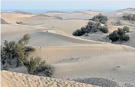  ?? ?? DUNAS. Maspalomas, un desierto frente al mar. Recorrerla­s es extraordin­ario.