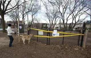  ?? KEITH BEATY/TORONTO STAR FILE PHOTO ?? The 100-metre dog run in Baird Park was closed briefly in April when chocolate, potentiall­y dangerous to dogs, was found among the wood chips.