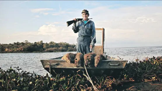  ?? PHOTOS: THE CALGARY UNDERGROUN­D FILM FESTIVAL. ?? The stars of the documentar­y Rodents of Unusual Size are nine-killogram swamp rats in coastal Louisiana.