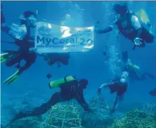  ??  ?? MSU recently organised the ‘MSU Eco-Marine Youth Expedition, My Coral 2.0’ programme as part of its commitment to contribute to preserving nature, particular­ly coral reefs.