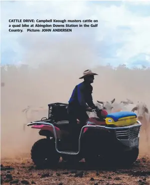  ??  ?? CATTLE DRIVE: Campbell Keough musters cattle on a quad bike at Abingdon Downs Station in the Gulf Country. Picture: JOHN ANDERSEN