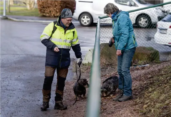  ??  ?? Det blir ett tax-samt möte när Håkan Lagerqvist och hunden Zorro får hälsa på tiken Anna som i dag är på besök i rastgården med Ewa Larsson.