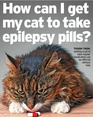  ?? ?? TOUGH TASK: Getting a cat to take regular medication can be difficult without help