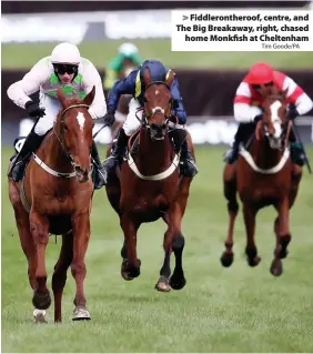  ?? Tim Goode/PA ?? Fiddleront­heroof, centre, and The Big Breakaway, right, chased
home Monkfish at Cheltenham