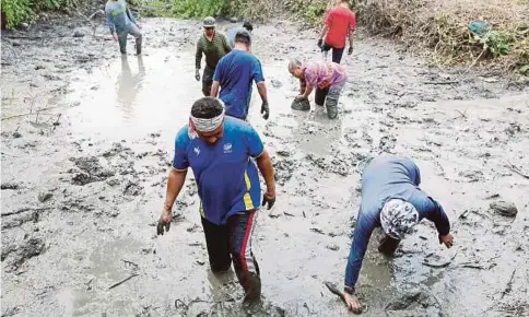  ??  ?? KAKITANGAN UniMAP bersama penduduk menggagau ikan di Kampung Tok Pulau.