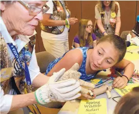  ?? JOURNAL FILE ?? Docent Patty Brewer gives Mia Martinez a close-up look at “Prickly Pear,” a hedgehog, during last year’s spring break camp at the BioPark Zoo.