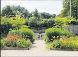  ??  ?? ■ John Storer Charnwood Allotment off Epinal Way. Still an oasis of calm ready for the time when visitors can return.