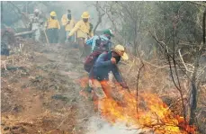  ??  ?? Guardabosq­ues de Tepoztlán organizó a los brigadista­s