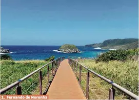  ?? Divulgação ?? 2. Fernando de Noronha
2 Rampa leva até o mar no Parque Nacional Marinho de Fernando de Noronha