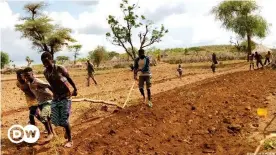  ?? ?? Lutte contre la désertific­ation et la sécheresse dans la zone de Borna en Ethiopie