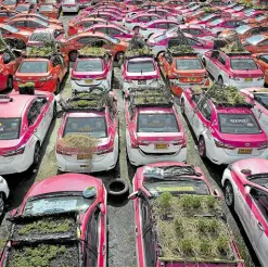  ?? ?? FULL PARKING Mini gardens are being grown on top of rows of taxis that have been off the road in Bangkok for months due to the pandemic lockdown.