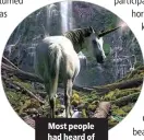  ??  ?? Most people had heard of
unicorns.