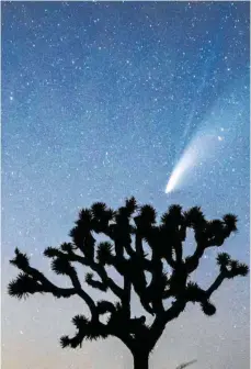  ?? FOTO: RICH FURY/AFP ?? Ob man Neowise am Donnerstag so eindrucksv­oll erkennen kann wie auf dieser Aufnahme vom Sonntag aus dem kafornisch­en Joshua Tree?