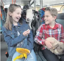  ??  ?? Sam Geary and Judith Duncan join a couple of four-legged friends at the launch of Translink’s special bus, coach and train transport plans for this year’s Balmoral Show