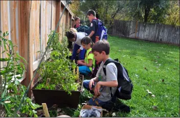  ?? KIM DOYLE WILLE VIA THE POST INDEPENDEN­T ?? Glenwood Springs Elementary School students visit their porch garden plantings.