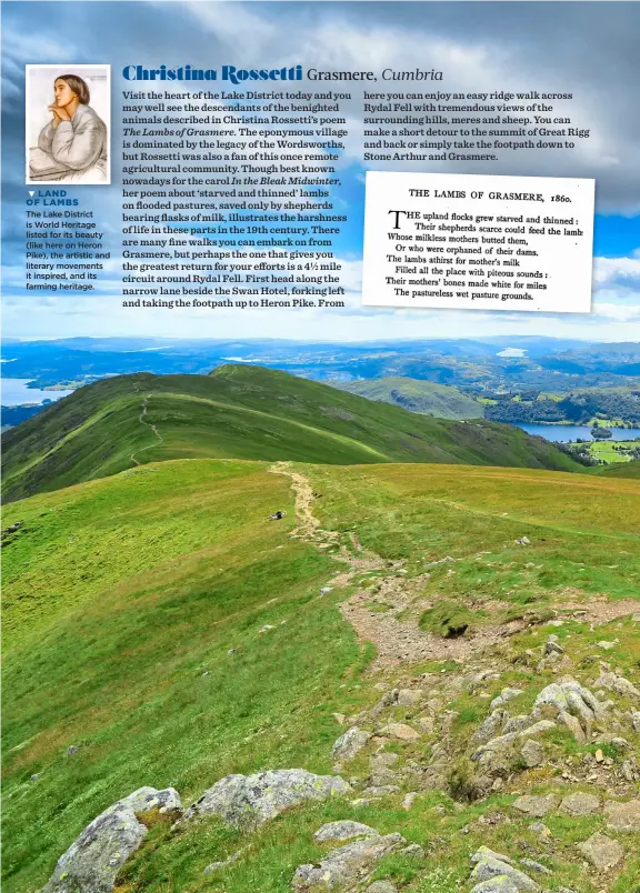  ?? ?? LAND OF LAMBS
The Lake District is World Heritage listed for its beauty (like here on Heron Pike), the artistic and literary movements it inspired, and its farming heritage.