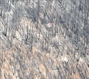  ?? THE CANADIAN PRESS/JONATHAN HAYWARD ?? A helicopter carries a water bucket over a burnt out area of the Philpot Road wildfire just outside of Kelowna, B.C., on Aug. 28. British Columbia’s Forests minister says the historic wildfire season that has charred more than 11,500 square kilometres...