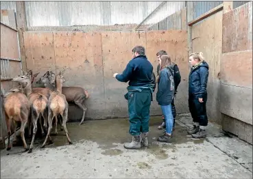  ?? Photo: Deer Industry NZ ?? Deer Industry NZ’s Big Deer Tour students seeing deer up close with deer farmer Tom Macfarlane of The Kowhais, Fairlie.