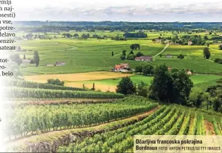  ?? FOTO: ANTON PETRUS/ GETTY IMAGES ?? Očarljiva francoska pokrajina Bordeaux