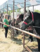  ??  ?? Na izložbi je sudjeloval­o 40 izlagača