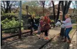  ?? JUSTINE FREDERIKSE­N — UKIAH DAILY JOURNAL ?? The Ukiah Unified School District Friday began delivering lunches at stops across the Ukiah Valley, including Cindee Park on South Orchard Avenue.